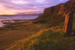 Có thể bắt nhốt khi CO2